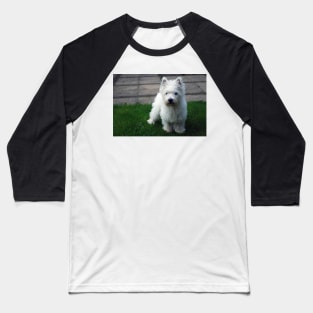 Westie puppy Baseball T-Shirt